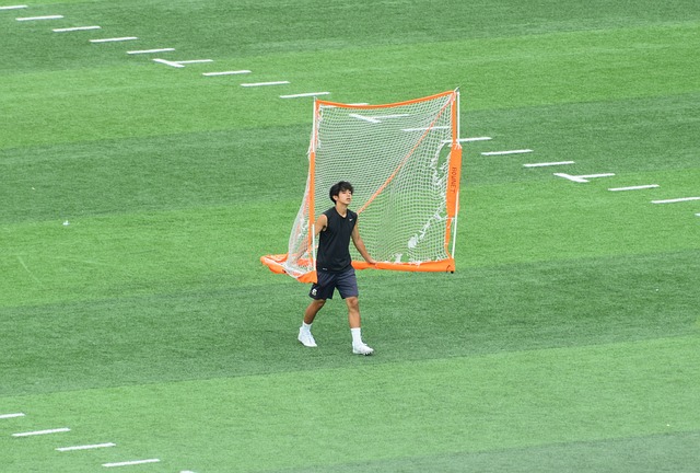 下面将深入