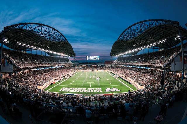 约基奇是丹 约基奇是丹