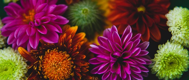 冰壶运动员 冰壶运动员