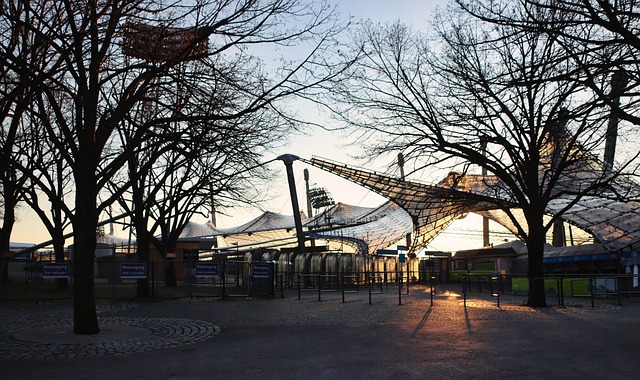 将成为一个 将成为一个