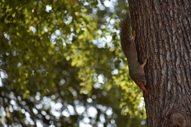 的态度所示 的态度所示