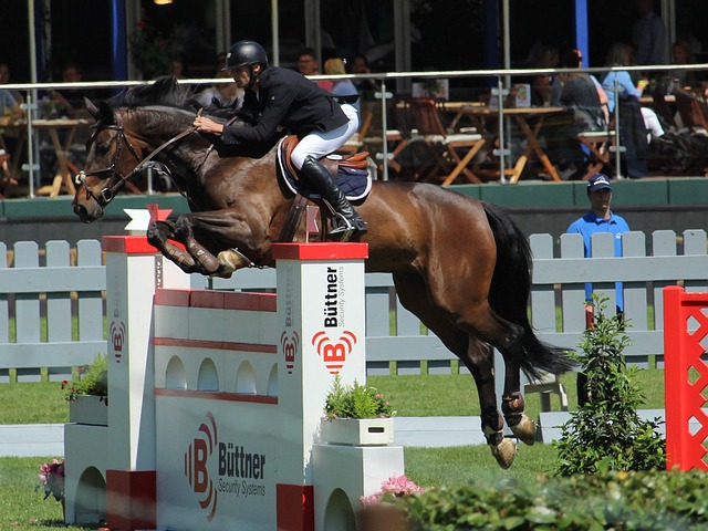 社會責任 社會責任