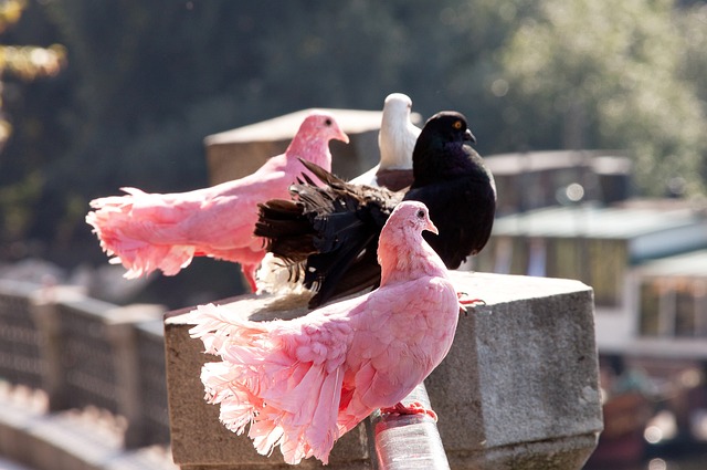 引人关注的 引人关注的