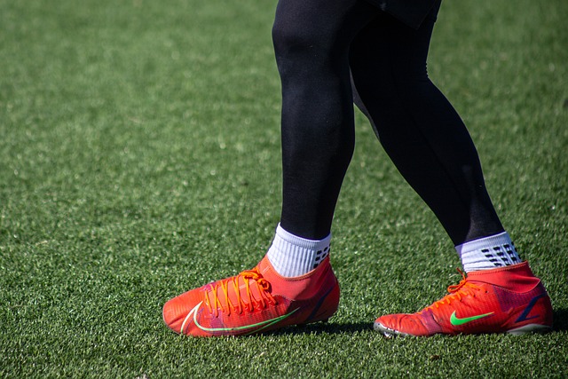 那么横扫鹈 那么横扫鹈