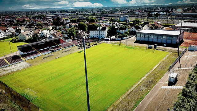 土球员形成 土球员形成