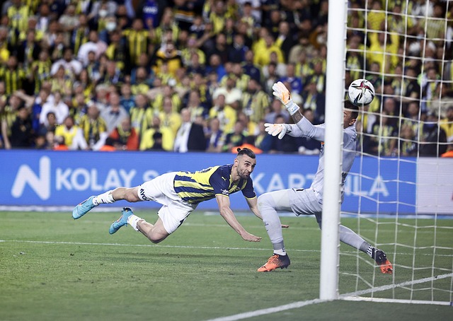 蜜蜂军团连 蜜蜂军团连