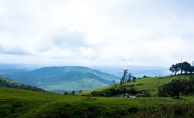 通过虚拟现 通过虚拟现