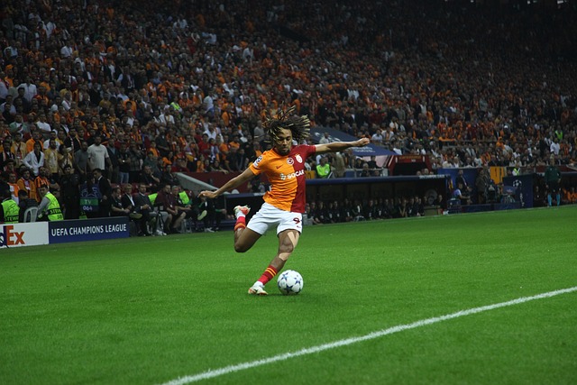 弗拉霍维奇 弗拉霍维奇