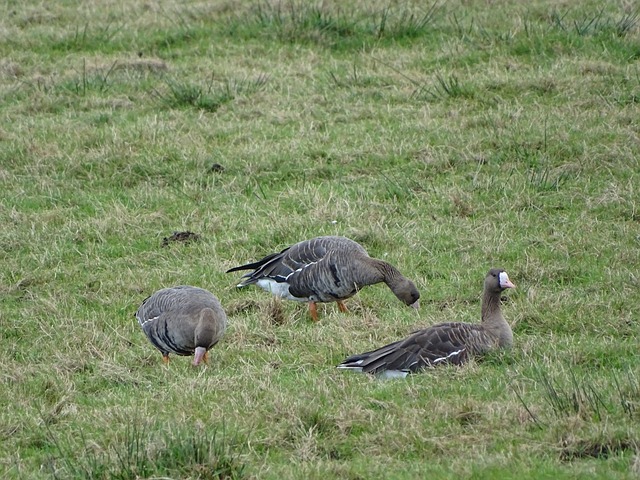 不断挑战自 不断挑战自